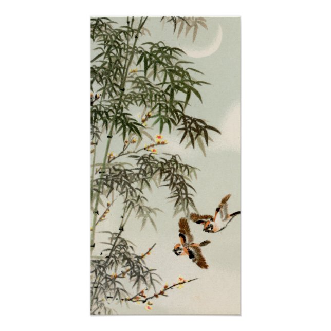 Póster Aves Bambú Vintage asiático japonés (Anverso)