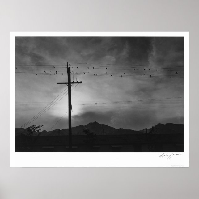 Póster Aves Con Alambre, Por La Noche De 1943 (Frente)