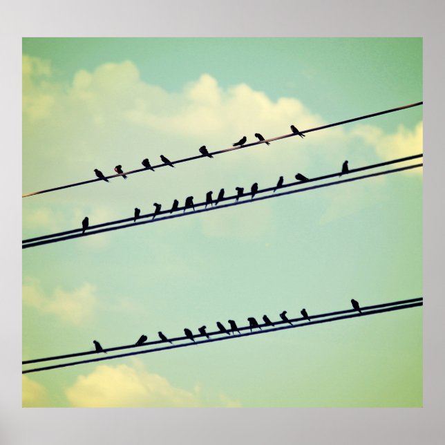 Póster Aves con cables, cielo azul vintage. (Frente)