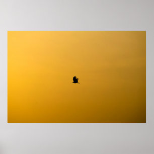 PÓSTER AVES DE BENGALURU