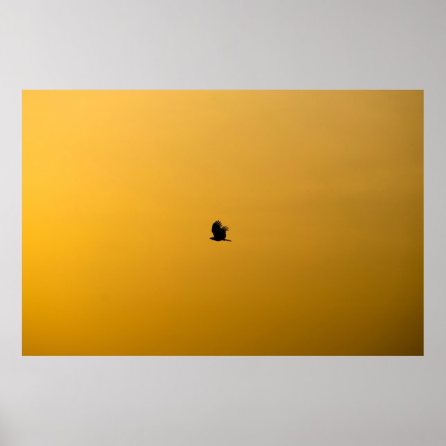 PÓSTER AVES DE BENGALURU (Frente)