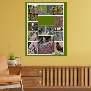 Póster Aves de Boston