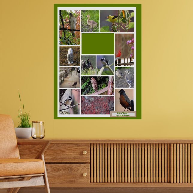 Póster Aves de Boston (Salón 2)