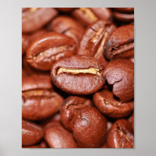 Póster Aves de café tostadas