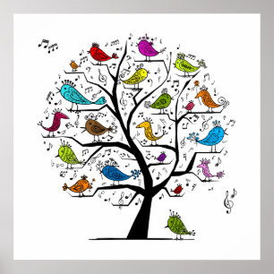 Póster Aves de canto musical