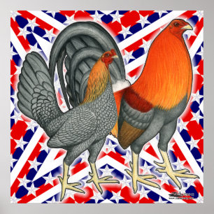Póster Aves de combate Stars and Stripes