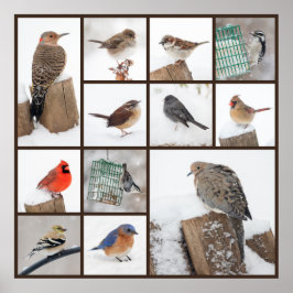 Póster Aves de corral en la nieve