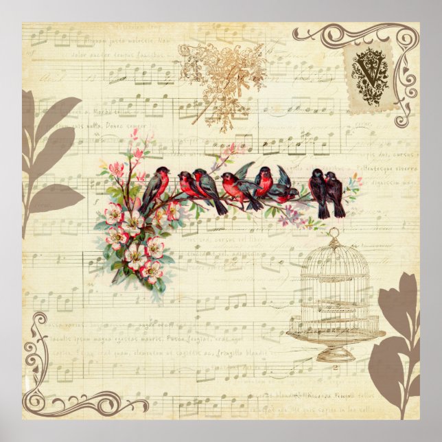 Póster Aves de época (Frente)