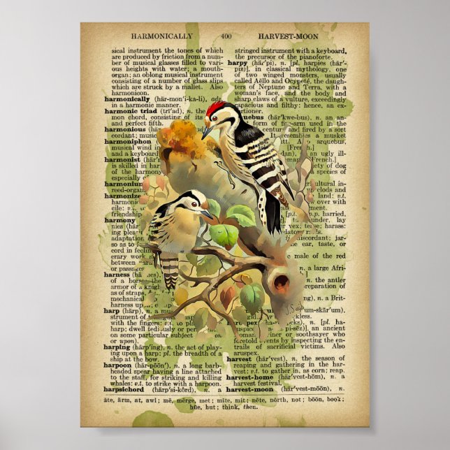 Póster Aves de época (Frente)