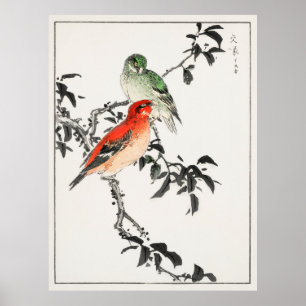 Póster Aves de Japón