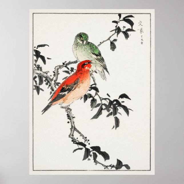 Póster Aves de Japón (Frente)