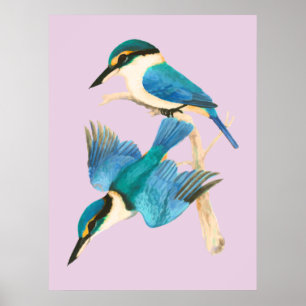 Póster Aves de Kingfisher acuarela rosa 