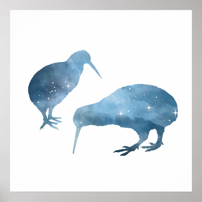 Póster aves de Kiwi (Frente)