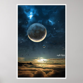Póster Aves de la noche