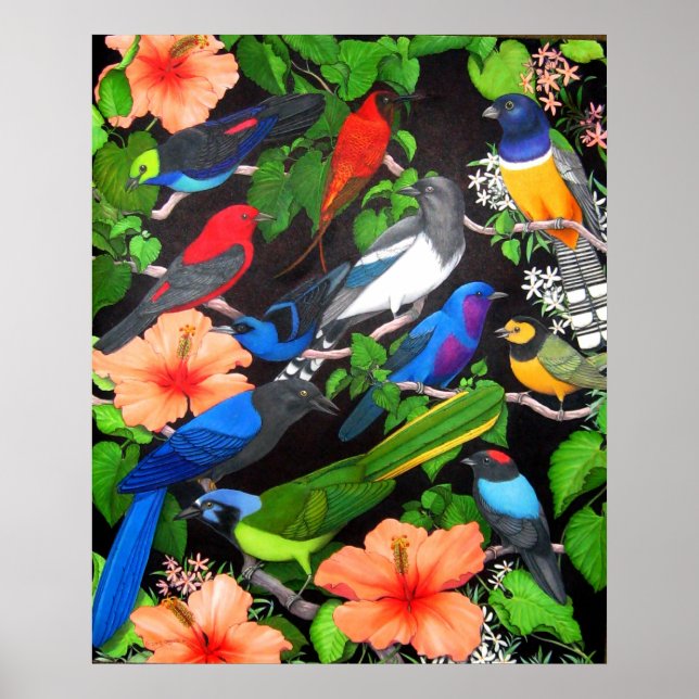 Póster Aves de la Selva de México (Frente)