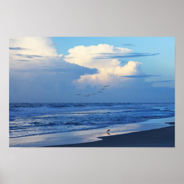 Póster Aves de playa al amanecer 1 (Frente)