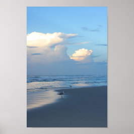 Póster Aves de playa al amanecer 2