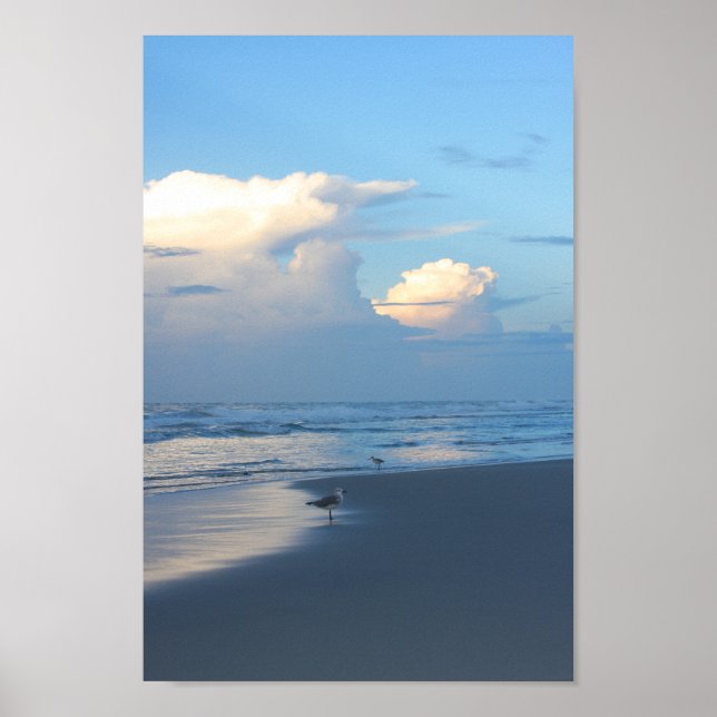 Póster Aves de playa al amanecer 2 (Frente)