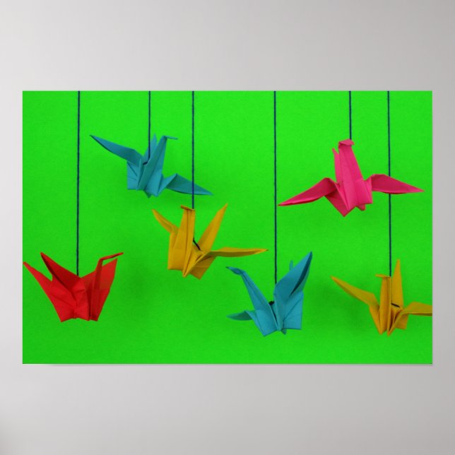 Póster Aves de un color (Frente)