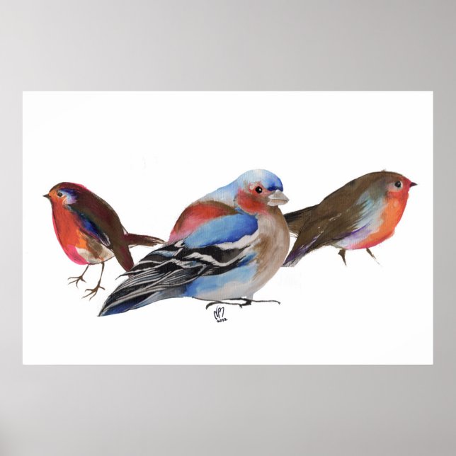 Póster Aves de una pluma en 2011 (Frente)