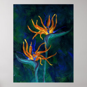 Póster Aves del paraíso