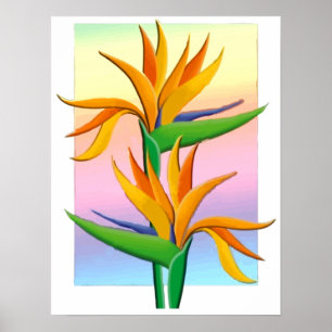 Póster Aves del paraíso con el fondo en colores pastel