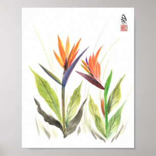 Póster Aves del Paraíso en Luz de la Mañana