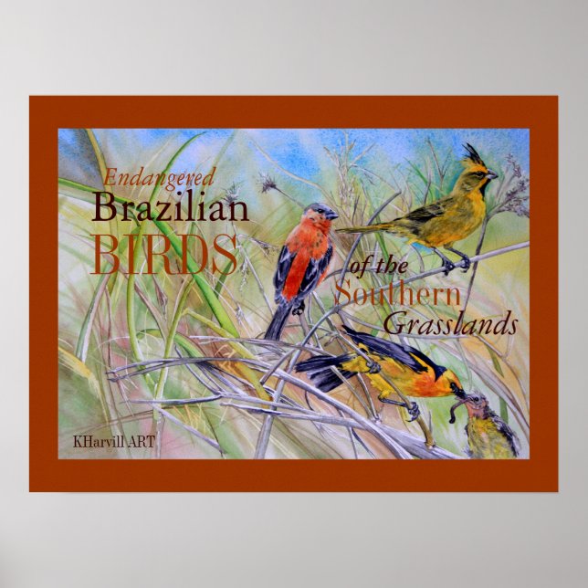 Póster Aves del Poster Bella Artes de las praderas brasil (Frente)