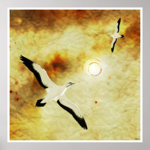 Póster Aves del sol