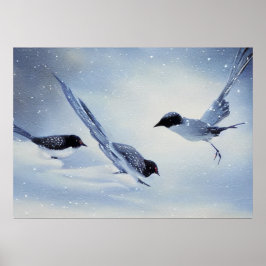 Póster Aves En La Nieve