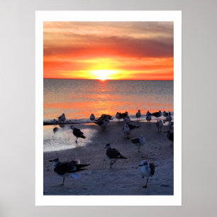 Póster Aves En La Orilla