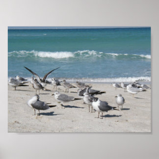 Póster Aves en la playa