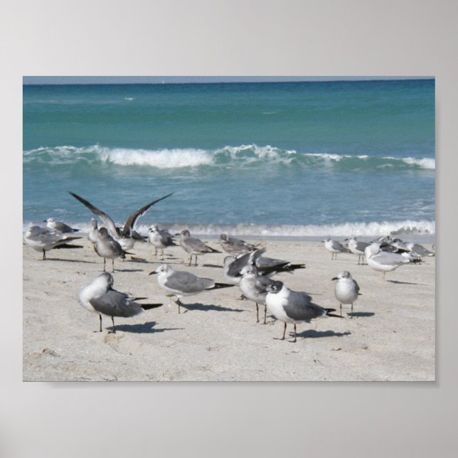Póster Aves en la playa (Frente)