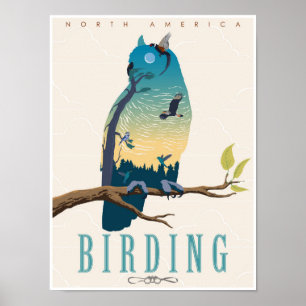 Póster Aves en Norteamérica
