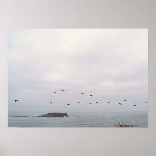 Póster Aves en poster de vuelo (Frente)