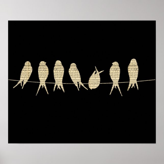 Póster Aves En Un Poster De Cables (Frente)