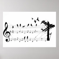 Aves en un poster de puntuación