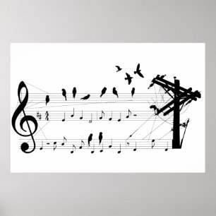 Póster Aves en un poster de puntuación