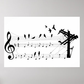 Póster Aves en un poster de puntuación