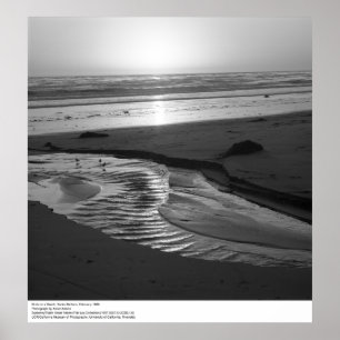 Póster Aves en una playa, Santa Bárbara, 1966