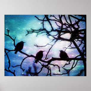 Póster Aves en una sucursal - Poster Starlight