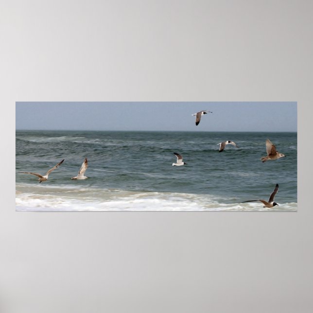 Póster Aves en vuelo de Shirley Taylor (Frente)