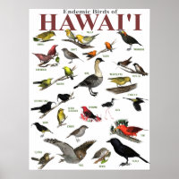 Aves endémicas de Hawai'i