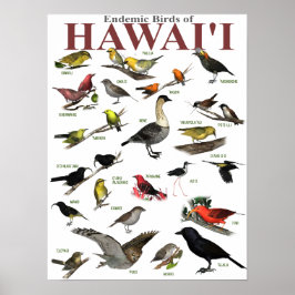 Póster Aves endémicas de Hawai'i
