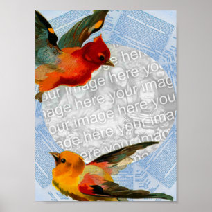 Póster Aves enmarcando tu propia foto