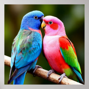 Póster Aves Exóticas ✨Posadas Juntas  Regalo para Amante 
