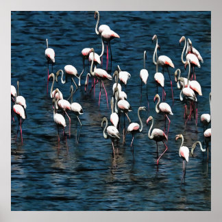 Póster Aves flamencas en rosa y blanco en azul de Inkwell