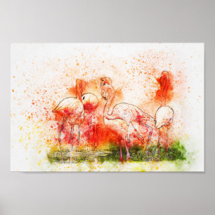 Póster Aves Flamingo