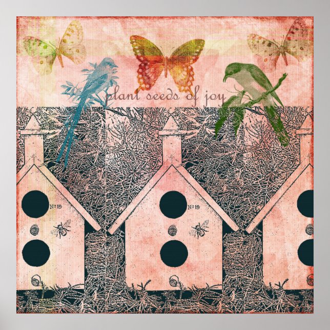 Póster Aves inspiradas con casas de aves (Frente)