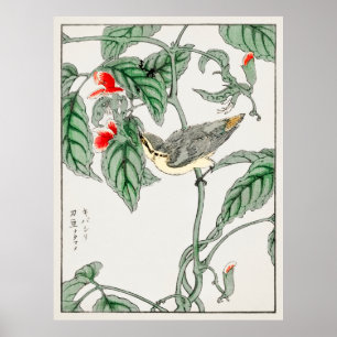 Póster Aves japonesas 2